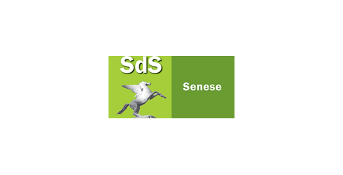 logo società della salute senese