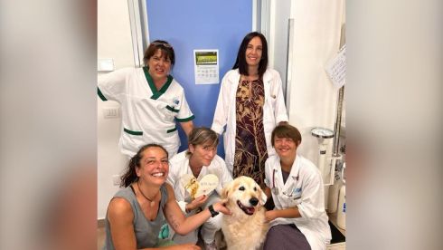 operatori hospice gr