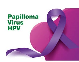 papilloma virus hpv