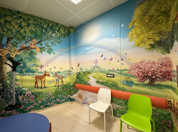 particolare delle pareti dipinte