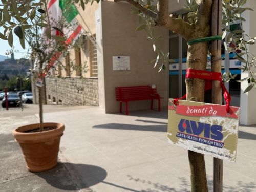 Piante all’ingresso della casa di comunita